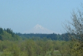View Larger Image